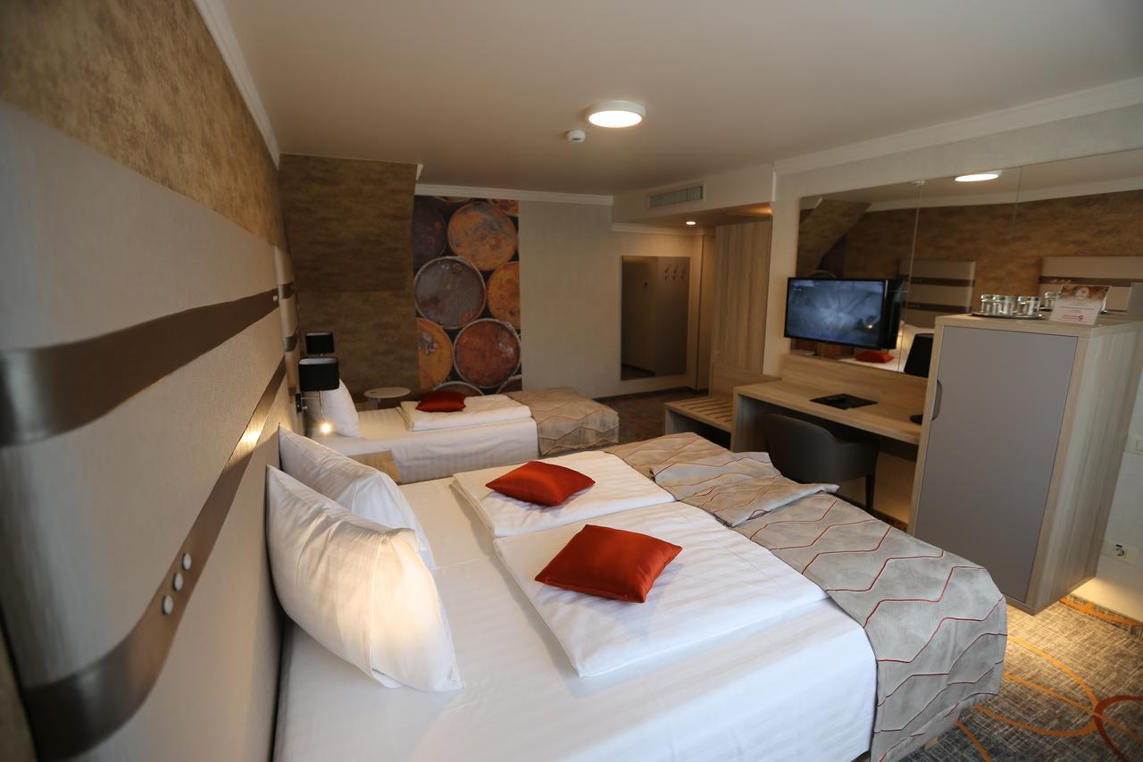 Baril Hotel Haţeg